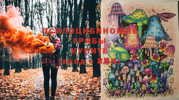 apvp Абаза